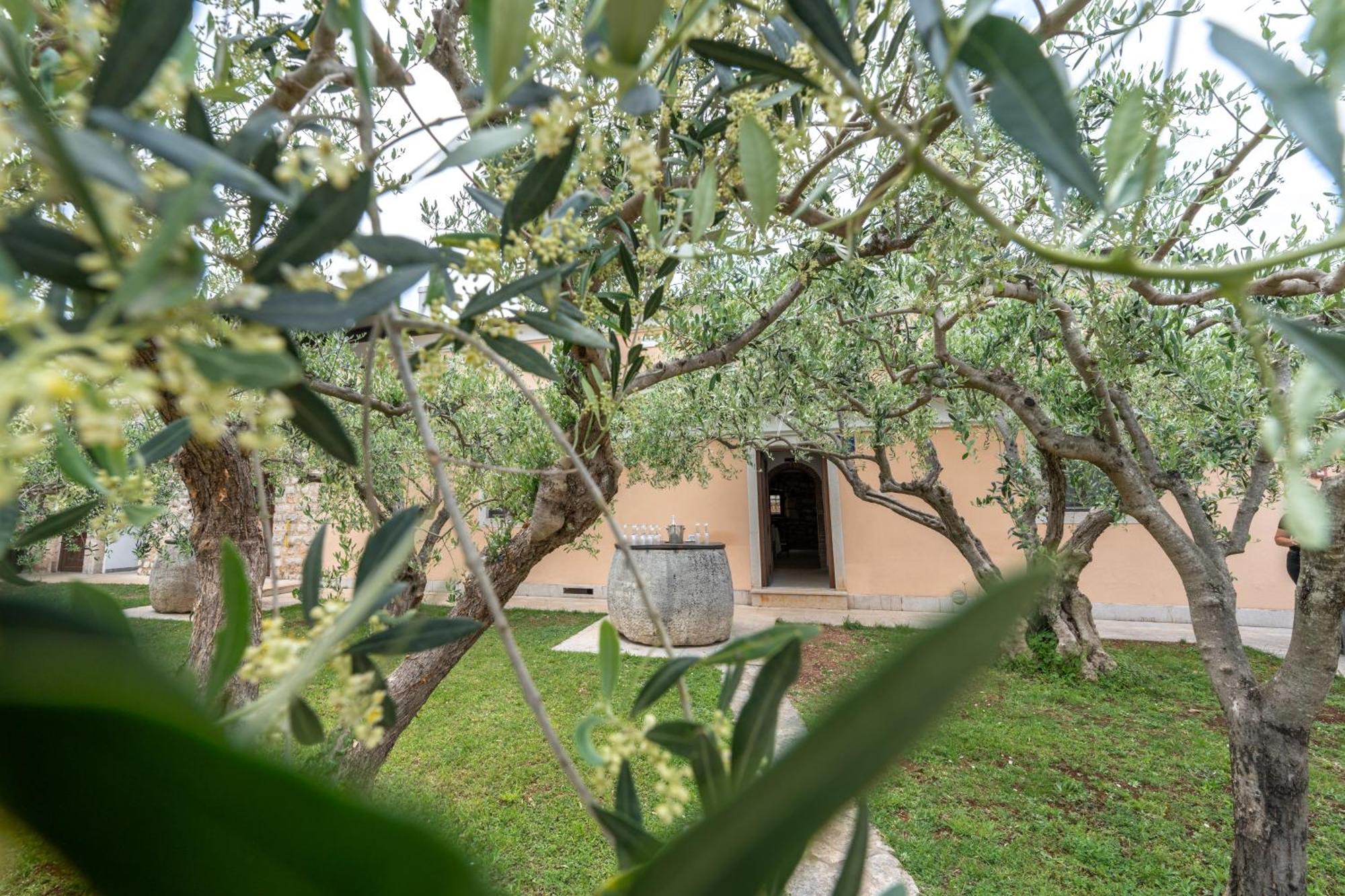 Hotel Maslina Seget  外观 照片